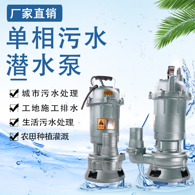 Factory wholesale WQ sewage pump 220V small household septic tank sewage pump agricultural irrigation high head pump