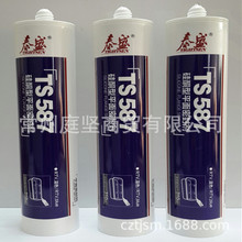 ̩ʢTS587 ��ͪ��ƽ���ܷ��z �����zˮ RTV�����z 310ML