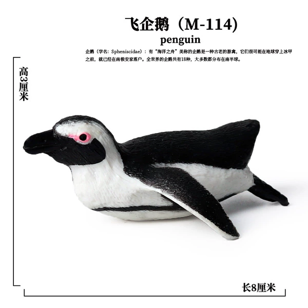 PL127-114 African Penguin