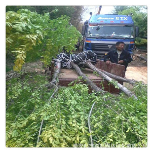 ɽ�|���۽��~�ܘ���G����ľͥԺ�^�p�е��c�Yɫ�K�G�h����ă�