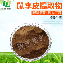 鼠李皮提取物 10%含总蒽醌 厂家供应 1KG起订 鼠李萃取 散装现货