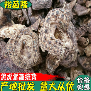 ��ԣ��¡���ڻ��Ɨ��N�[���X��Ұ�����ƹ���؛��Ϯa�ش�؛���l