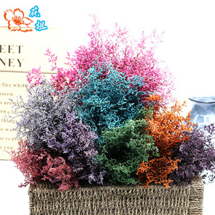 Eternal Flower Lover Grass Gypsophila Factory Direct Wholesale Large Bunch of Dried Flowers bouquet Home Decoration Decorative Flower Material