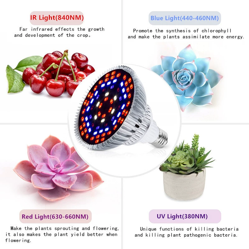 (Cross-border trading), LED fill light, plant lamp, comfortable light spectrum, 50W, 80W