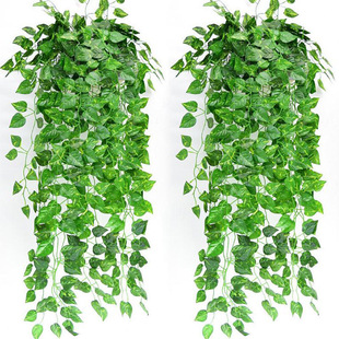 �G�}���ıڒ�پG�~���m�b��ٗl�~����ɽ���ٻ��羳����Gֲ�b�