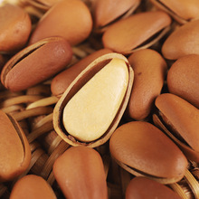 ���w�������خa�|������10��/��S��ֱ�N