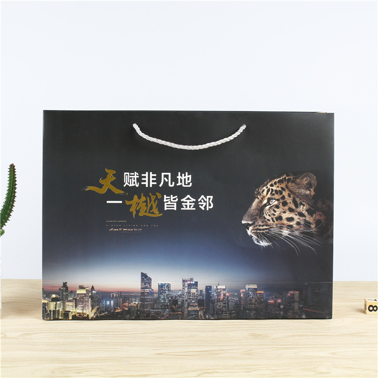 厂家礼品袋礼盒袋服装容纳 女装店袋手提袋纸质袋子礼袋批发logo