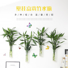 �ڒ첣���B���F��ƿˮ�B��ֲ��ˮ��ƿ͸���廨ƿ�젝�Ϡ����b�