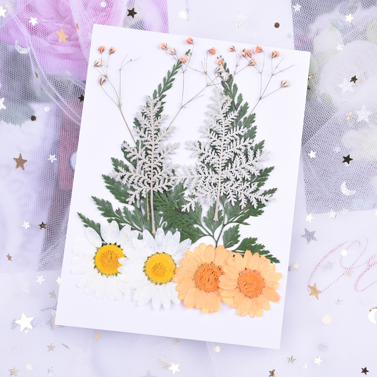 오렌지 플라워 세트 (5 꽃, 10)