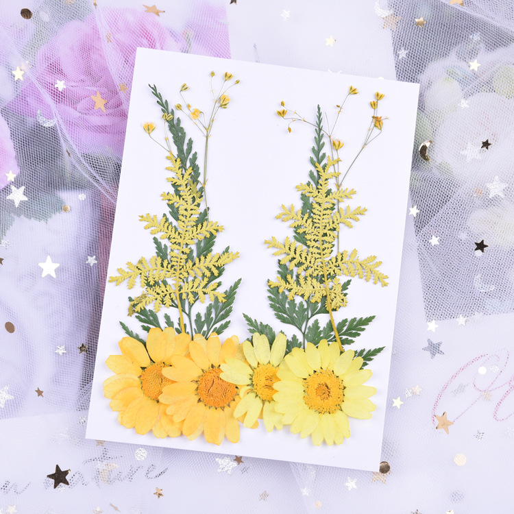 노란 꽃 세트 (5 꽃, 10)