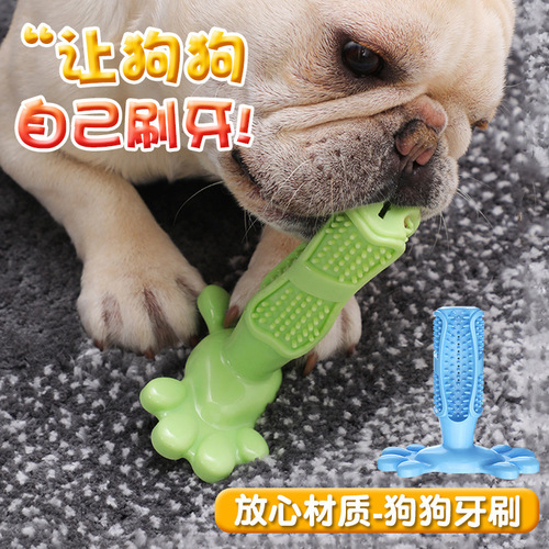Dog toothbrush Amazon pet supplies eBay cross-border dog toothbrush molar stick silicone toy 6
