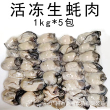 生蚝肉牡蛎活冻生蚝肉冷冻海蛎子大排档新鲜水产 1kg包*5包/件