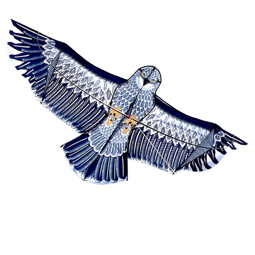 Weifang Kite Wholesale Lucky Kite Holy Grace Lucky Bird of Paradise Golden Eagle Steel Eagle Eagle Breeze Children's Kite Eagle