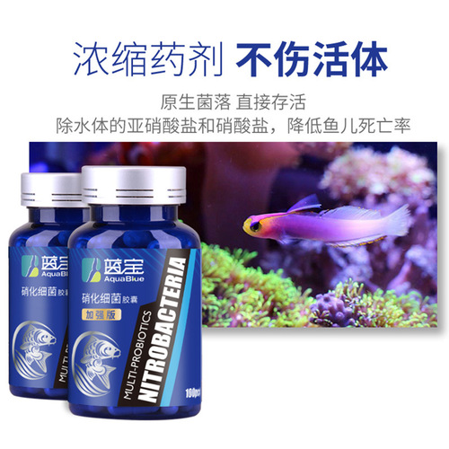 Nitrifying bacteria fish tank aquarium concentrated nitrifying bacteria dry powder capsules stabilize water quality aquarium chemicals purify water quality
