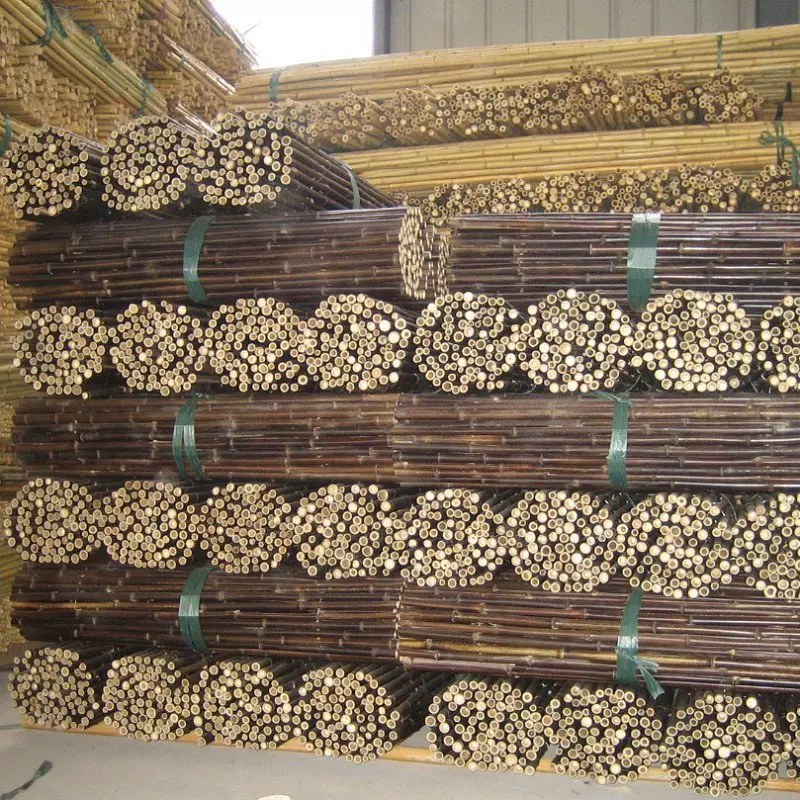 供应紫竹竿多种规格庭院篱笆装饰紫竹竿黑竹批发量大从优