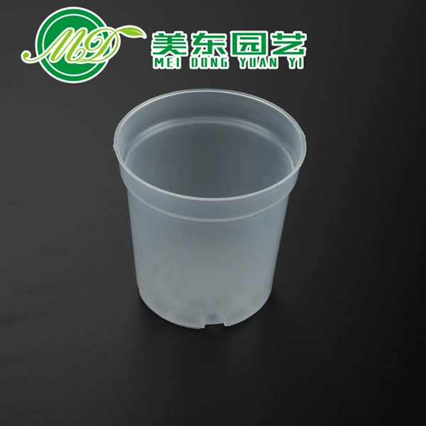 Transparent No. 90