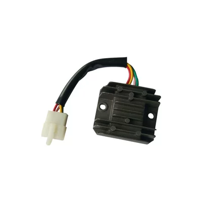 Charger, electronic regulator