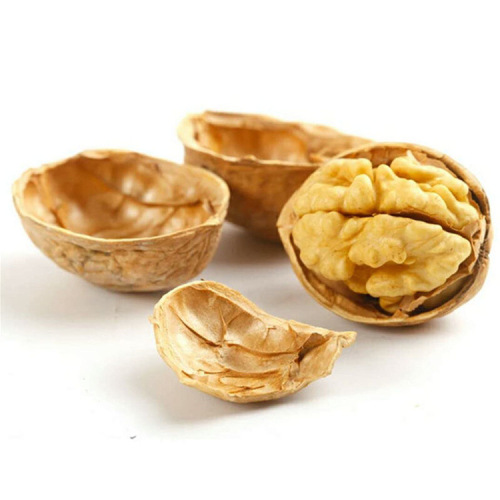 New Arrival Xinjiang 185 Paper Shell Walnuts Xinjiang Walnuts 500g Bagged New Arrival Bulk Wholesale