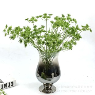 ����3�^�ٽz�z�� ���滨�ٻ��廨��ˇ��� ��c�ҾӔz�b����յ�