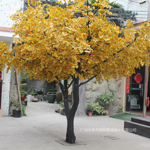 �����y�Ә�������ȼ�̈��Ƶ깝���b٘��ɫ���ټt��������