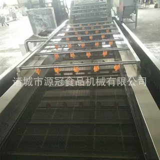 定制海产品脱盐气泡清洗机 速冻蔬菜洗菜机 苹果翻浪鼓泡清洗设备