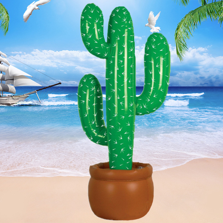 Potted cactus