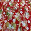 Red fan 25*150