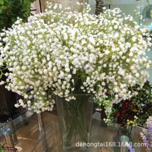 �羳؛Դ PU3��M���Ƿ��滨 �M���ǻ������W�L���滨�M�������l