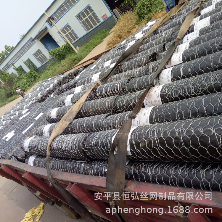 六角拧花网 铁丝六角网电厂保温网 养殖铁丝网 低碳钢六角铁丝网
