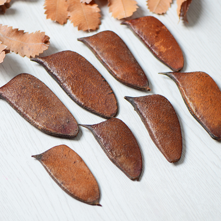 [Celter Bean] Natural Dried Flowers, Fruit Pods, Pastoral Style Decorations, Shooting Props, Dried Garland Materials