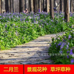 ��ꎻ��N���紺�_���Ļ��N�Ӿ��^���ܷN�Ӷ����m�N��