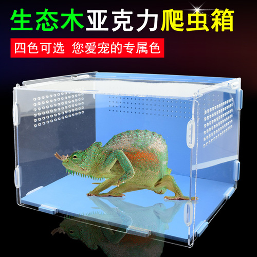 Reptile box breeding insulation box acrylic transparent modeling room pet tortoise spider lizard hedgehog horned frog