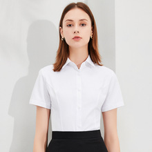 80S精梳棉女式职业装短袖白色衬衫夏款女装纯色工装衬衣团购LOGO