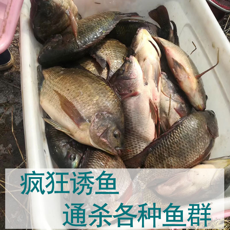 Los fabricantes suministran leche de huevo en polvo Esencia de pesca pequeña medicina sabor salsa de leche de huevo negro pit carpa cebo al por mayor