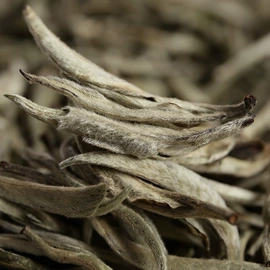 普洱茶;红茶;花果茶