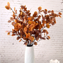 �����֦��ؽ��X�~�˘��~�O���~���Wins��cɭϵ�Gֲ���ȼ����~