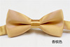 Children's multicoloured universal bow tie for boys with bow, Korean style, 5 colors
