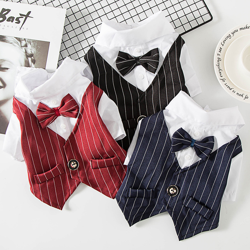 Pet Clothes for Cats and Dogs, Teddy, French Bulldog, Corgi, Spring and Summer Suits, Clothing for Large Dogs