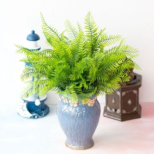 ֲķֲ 7ˮPβ ާֲ