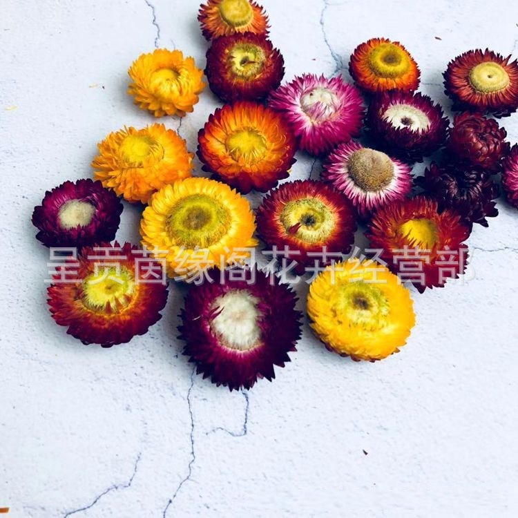 Wheat straw chrysanthemum flower head