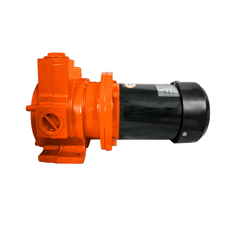 奥诚电动抽油泵12V24V220V大功率大流量自吸泵齿轮泵柴油加油机