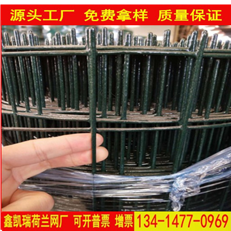 现货果园围栏荷兰网浸塑铁丝网圈地养殖鸡鸭隔离防护网硬塑荷兰网