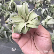 �՚��P�� 늠C���F�m�����Gֲ �҃��̨�͏d�bڒ���m�S�����l