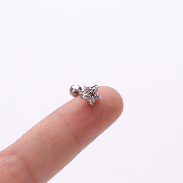 earrings with zircon stainless steel