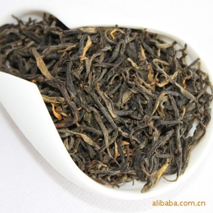 ���l����ϲ��~�� ��t���� �P�c�t�� 2025���紺��t ɢ��