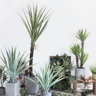 F؛پGֲԔ[mƤmb辰עɳĮֲb