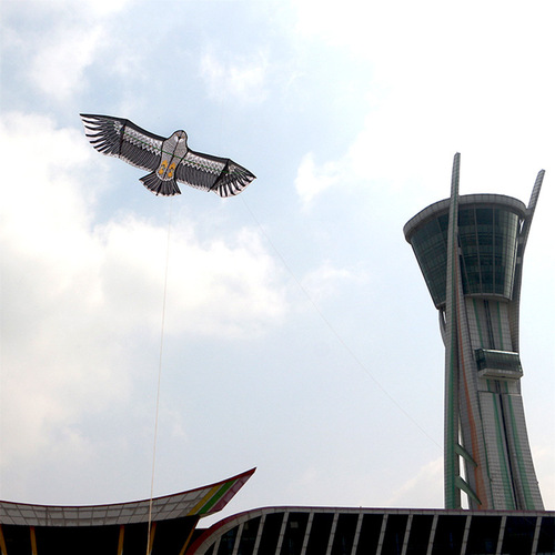 Weifang Kite Wholesale Lucky Kite Holy Grace Lucky Bird of Paradise Golden Eagle Steel Eagle Eagle Breeze Children's Kite Eagle