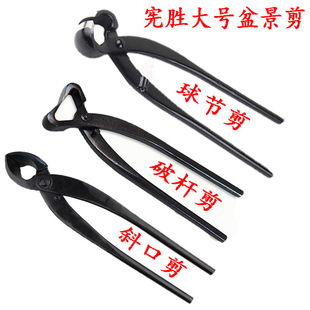 �����辰���� ���Q �ƗU�Q �_֦�� б�ڼ�����С̖ȫ�辰������