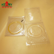 ���ڏS�ҹ���12����Ӱ��b�� ���w�B�Ӿ����ܺ� ���w��������