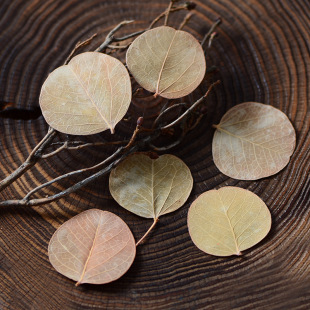 �������~����Ȼ����~�A��С�~�Ӹɻ�����Ʒ���h�������������